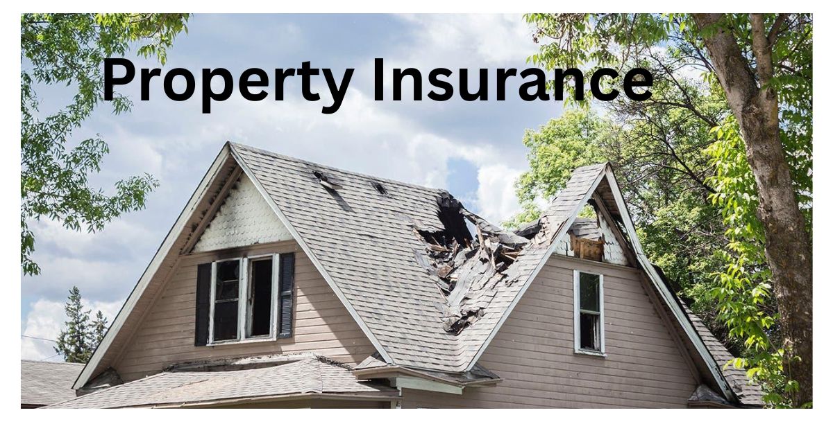 Property Insurance